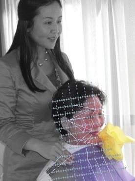 配置バランス観察